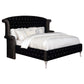 Deanna Upholstered Queen Wingback Bed Black