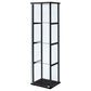 Cyclamen 4-shelf Clear Glass Curio Display Cabinet Black