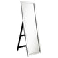 Soline 22 x 61 Inch Framed Standing Floor Mirror Silver