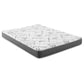 Kenyon 7" Queen Bamboo Cover Firm Foam Mattress