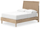 Cielden Full Panel Bed with Mirrored Dresser and 2 Nightstands