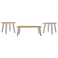 Zander 3-piece Rectangular Coffee and End Table Set Natural