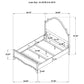Revello 4-piece Queen Bedroom Set Washed Mango
