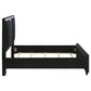 Ravenne Velvet Upholstered Queen LED Panel Bed Black