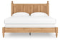 Aleaport King Panel Bed with Mirrored Dresser and Nightstand